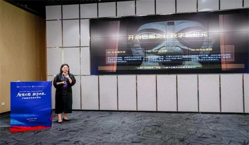 巴蜀文化创意数字产教联盟供需对接会在成都召开 聚焦数字文化创意内容应用服务