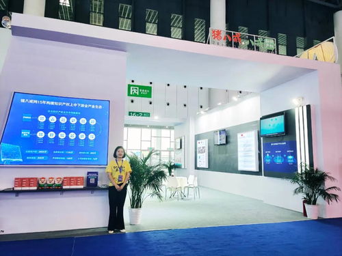 八戒知识产权携手中国数字版权联盟，共筑数字文化创意内容服务新生态